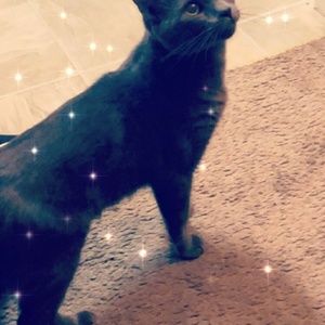 Meet your Posher, Sean